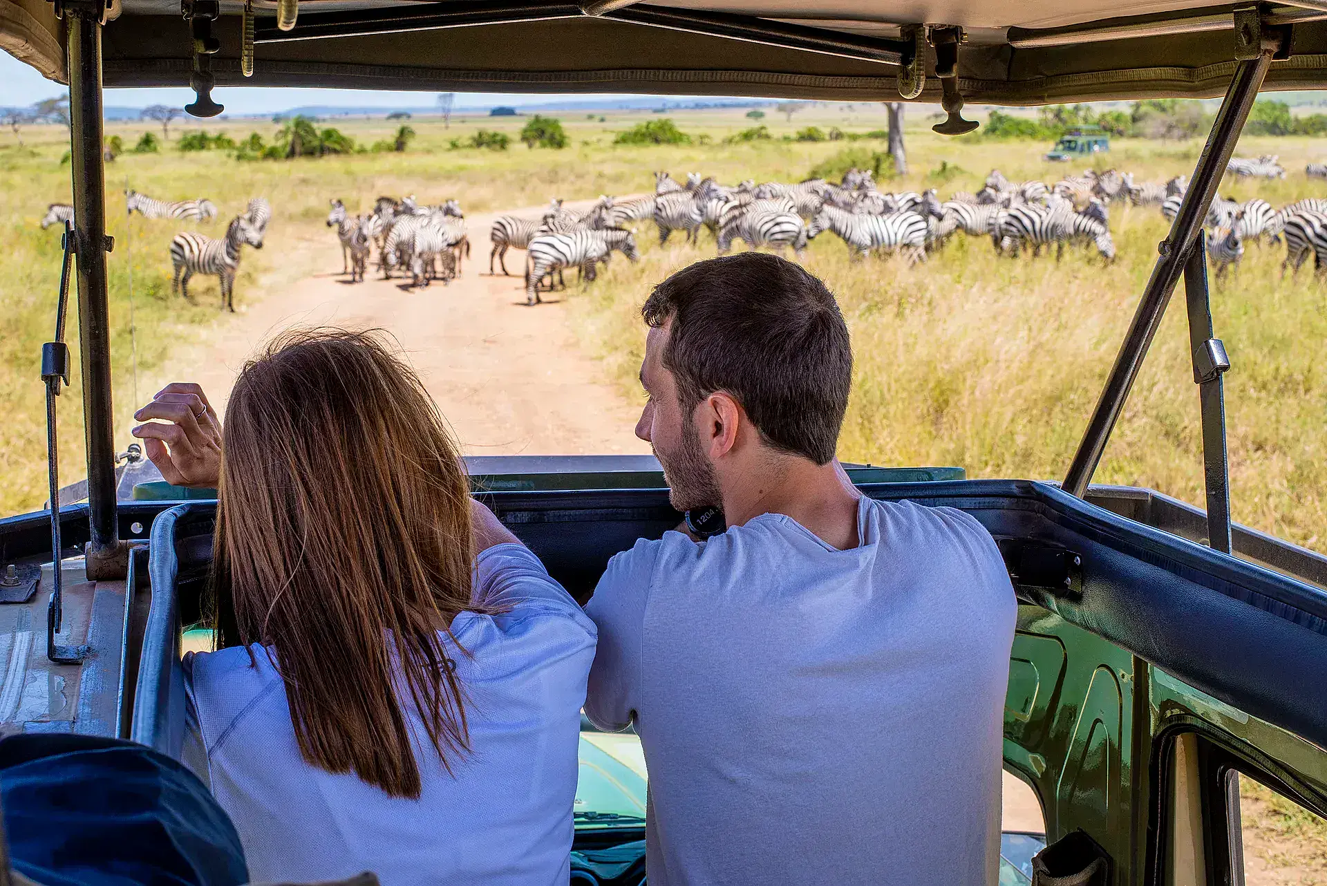 Safari guests